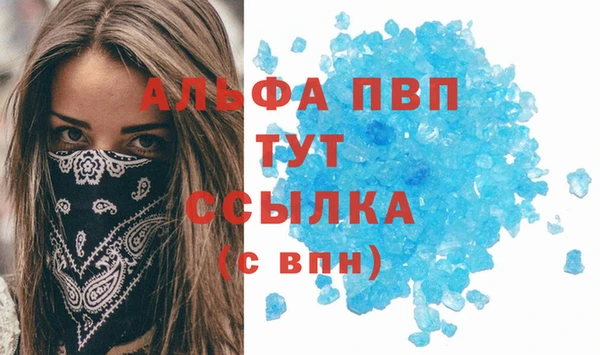 Альфа ПВП Горняк