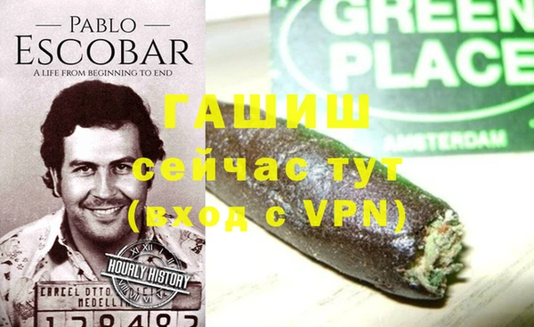 Альфа ПВП Горняк
