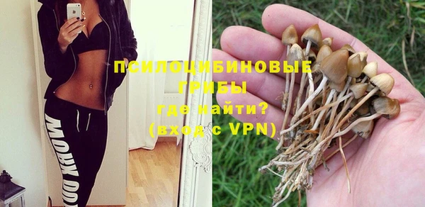 Альфа ПВП Горняк