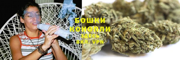 Альфа ПВП Горняк