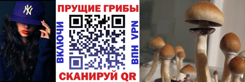 Купить где  Киреевск  Галлюциногенные грибы ЛСД 
